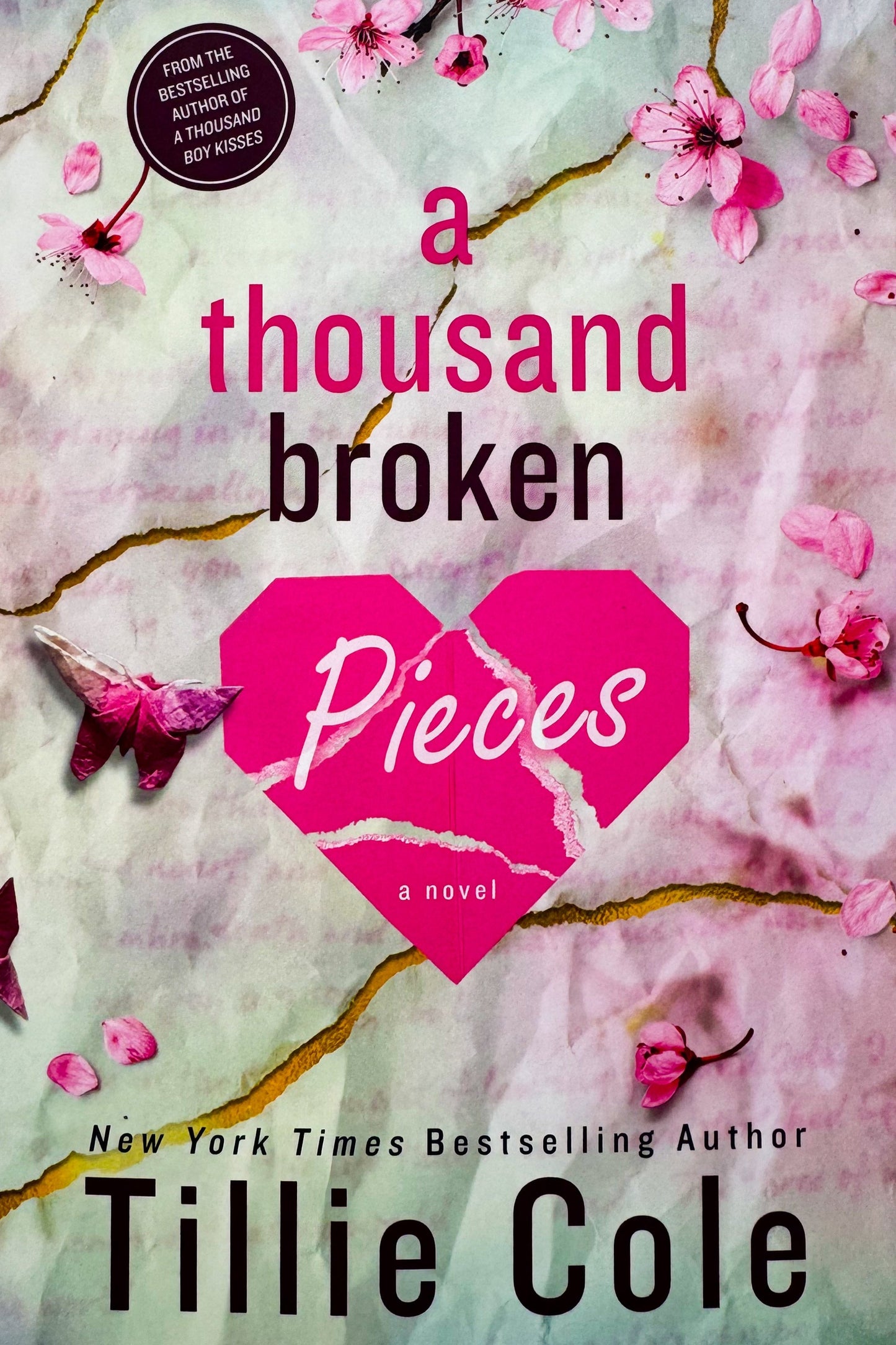 A Thousand Broken Pieces